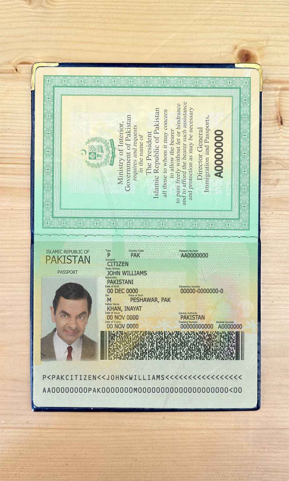 Pakistan passport photo look PSD template